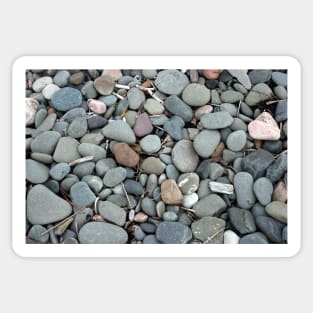 Pebble Beach with twigs Sticker